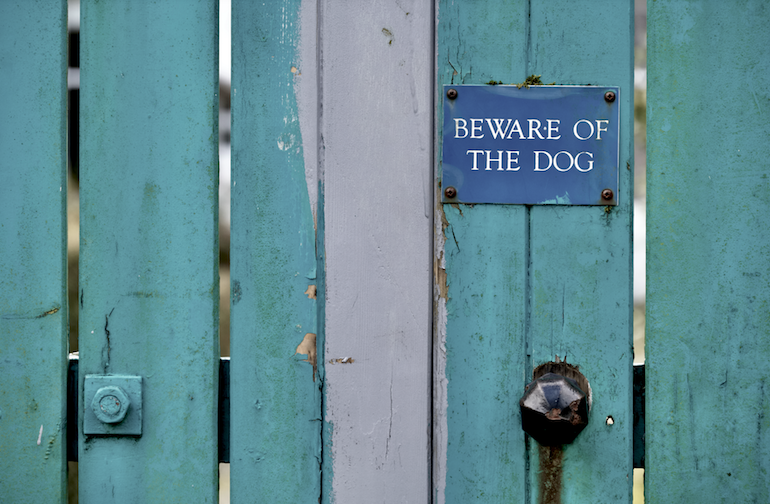 allergie%20voor%20de%20hond