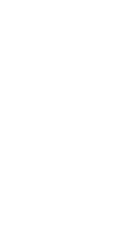 388def_306253104b33476db9c9d23044cbd43f~mv2 2